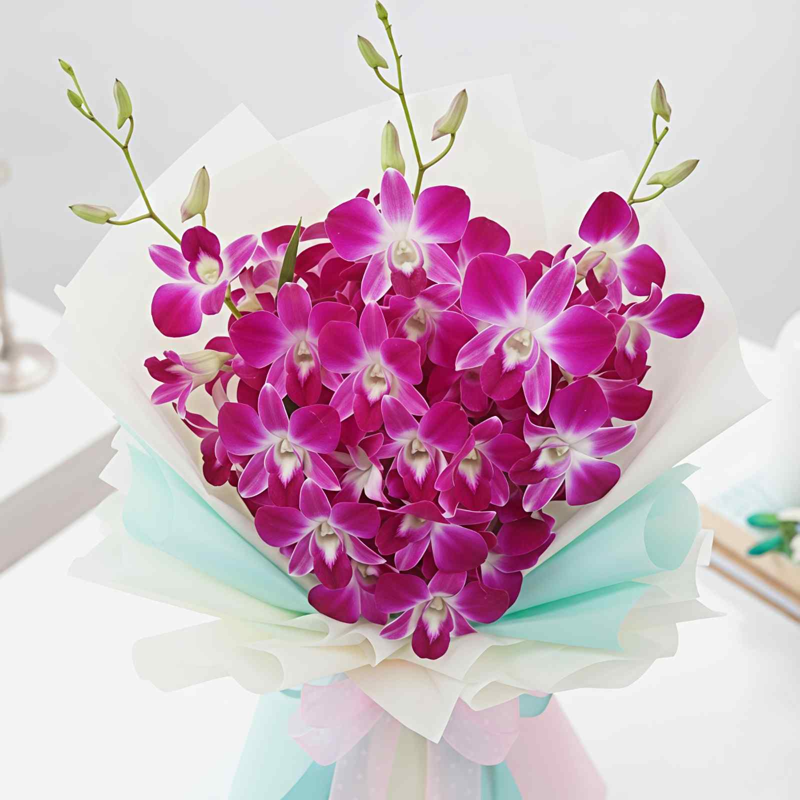 Orchids